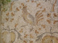 madaba_mosaique_1