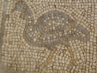 madaba_mosaique_3