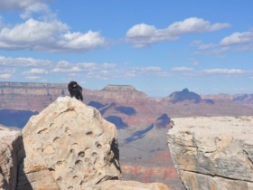 grand_canyon