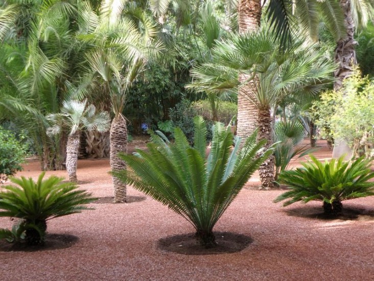 jardin_majorelle_2