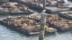 0165_otaries_pier_39_san_francisco