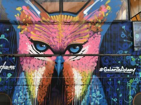 galantis_aviary_01