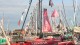 0255_route_rhum_klaxoon