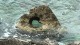 orebic_adriatica_05