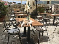 korcula_chat