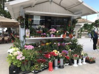 dubrovnik_boutique_fleurs