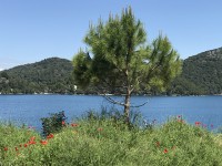 mljet_ste_marie_02