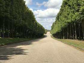 domaine_trianon_allee_nruaux