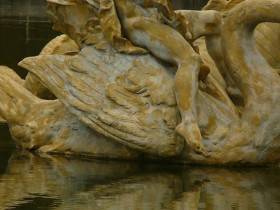 amour_cygne_detail_nruaux