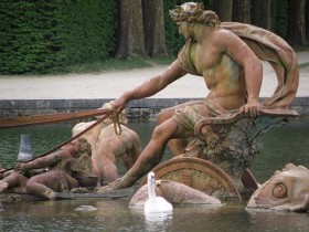 cygne_bassin_apollon_versailles_nruaux