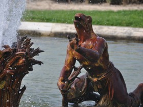 bassin_lezards_versailles_nruaux