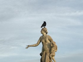 corbeau_latone_versailles_nruaux