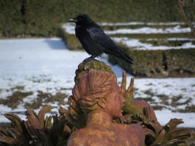 parterre_latone_maitre_corbeau_versailles_nruaux