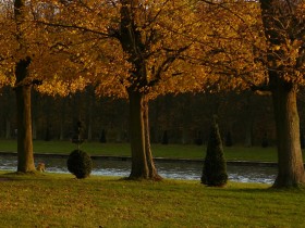 grand_canal_automne_lectrice_versailles_nruaux