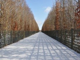 allee_neige_versailles_nruaux