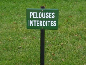 pelouses_interdites_versailles_nruaux