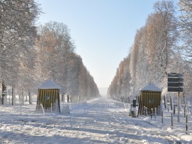 versailles_parc_blanche_allee_nruaux