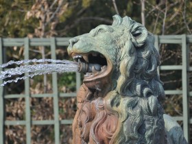 lion_cabinet_animaux_versailles_nruaux