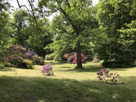 butte_chenes_arboretum_chevreloup_nruaux