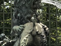 cabinet_animaux_lion_sanglier_nruaux_01