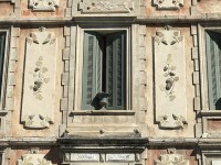 fontaine_vaucluse_fenetre_nruaux_9908