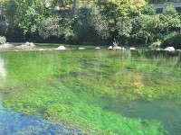 fontaine_vaucluse_nruaux_0095