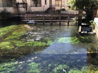 fontaine_vaucluse_nruaux_9915