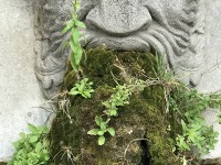 lourmarin_fontaine_masque_luberon_nruaux_0096