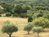 lourmarin_paysage_nruaux_0078