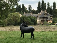 lalanne_wapiti_nruaux_1264