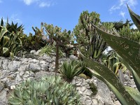 eze_jardin_tropical_nruaux_2943