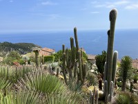 eze_jardin_tropical_nruaux_2951