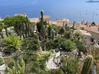 eze_jardin_tropical_nruaux_2954