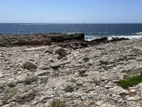 cap_antibes_nruaux_2891