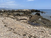 cap_antibes_nruaux_2908