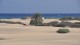 0027_maspalomas_dunas_nruaux