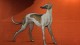 andrea_ravo_mattoni_3357