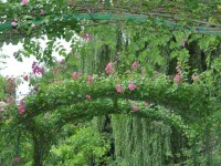 giverny_nruaux