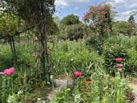 jardin_monet_giverny_nruaux_5490