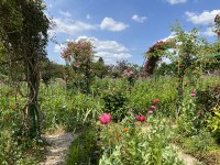 jardin_monet_giverny_nruaux_5491