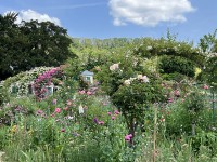 jardin_monet_giverny_nruaux_5501