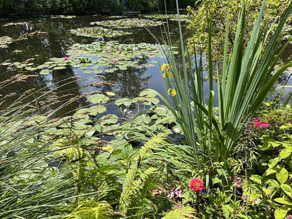 etang_nympheas_monet_giverny_nruaux_5505