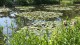 etang_nympheas_monet_giverny_nruaux_5506