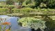 etang_nympheas_monet_giverny_nruaux_5513