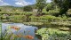 etang_nympheas_monet_giverny_nruaux_5514