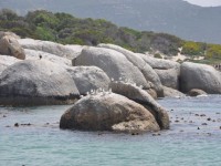 boulders_beach_01