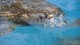 61_tortue_mer