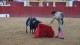 faena_orozco_27