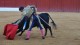 faena_orozco_29