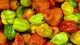 la_boqueria__piments_1